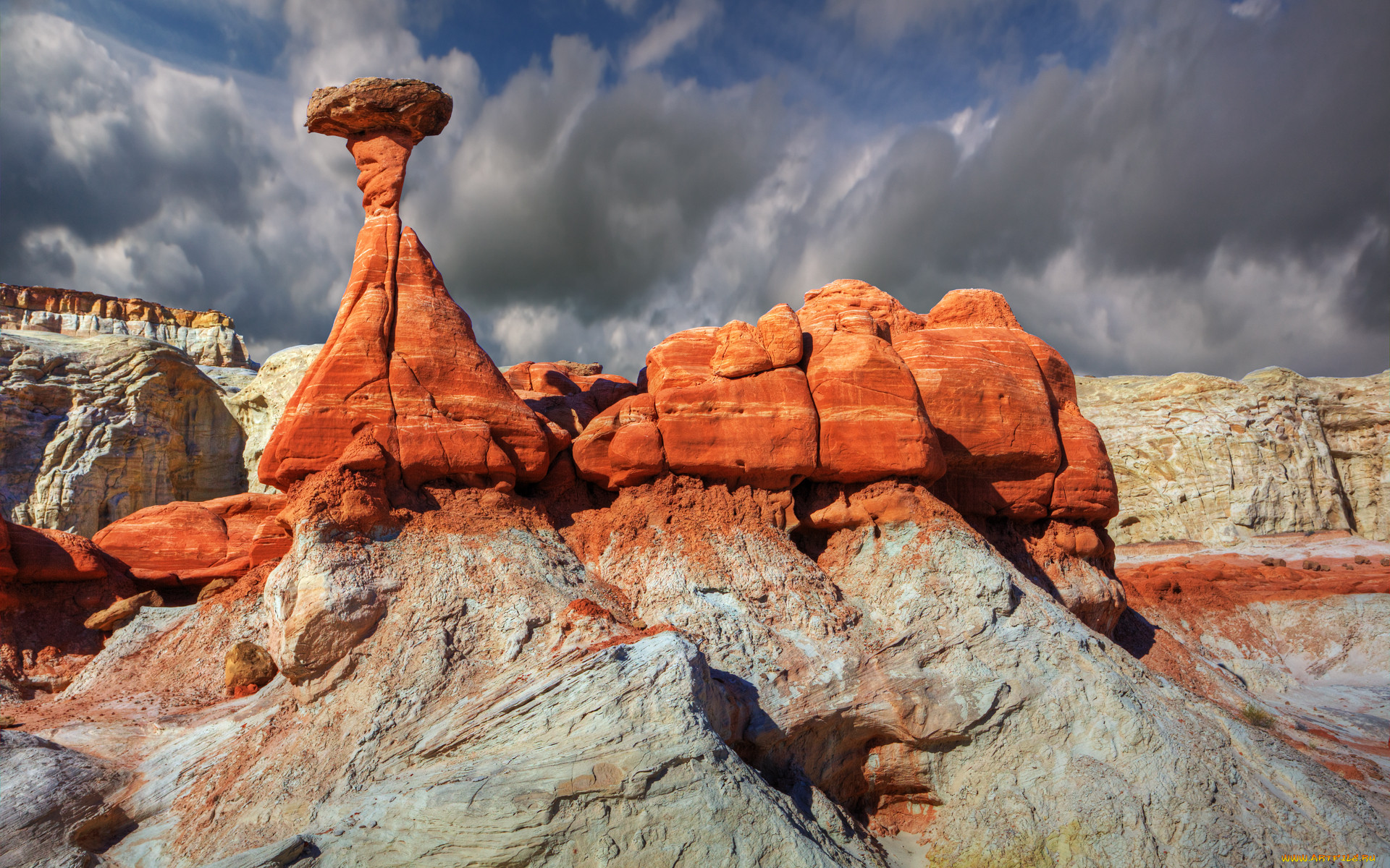 Каменные грибы Аризона США